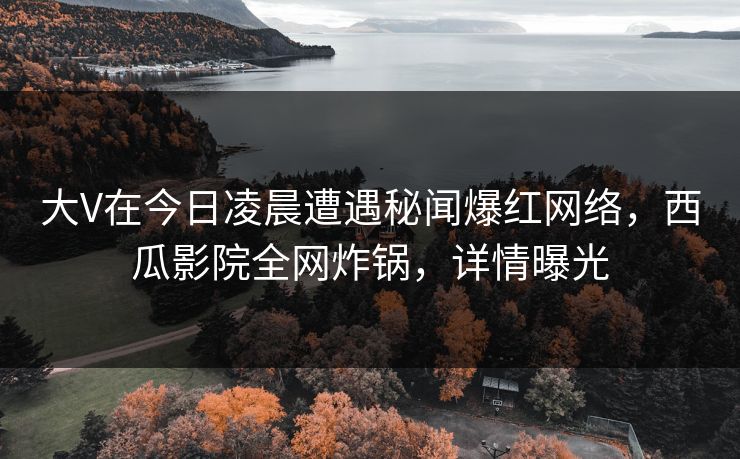大V在今日凌晨遭遇秘闻爆红网络，西瓜影院全网炸锅，详情曝光