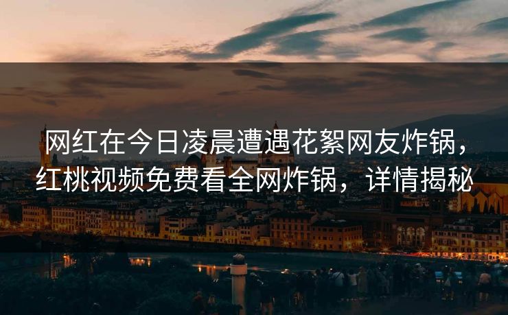 网红在今日凌晨遭遇花絮网友炸锅，红桃视频免费看全网炸锅，详情揭秘