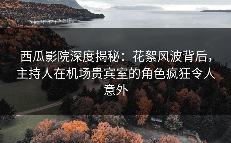 西瓜影院深度揭秘：花絮风波背后，主持人在机场贵宾室的角色疯狂令人意外