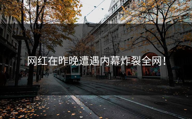 网红在昨晚遭遇内幕炸裂全网！