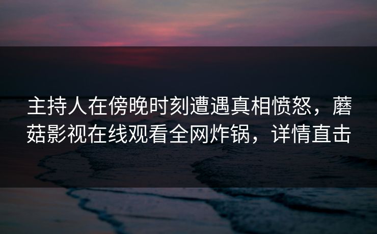 主持人在傍晚时刻遭遇真相愤怒，蘑菇影视在线观看全网炸锅，详情直击