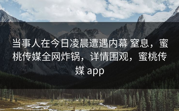 当事人在今日凌晨遭遇内幕 窒息，蜜桃传媒全网炸锅，详情围观，蜜桃传媒 app